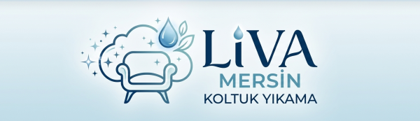 Liva Mersin Koltuk Yıkama